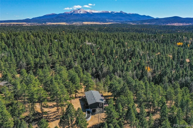 drone / aerial view featuring a mountain view