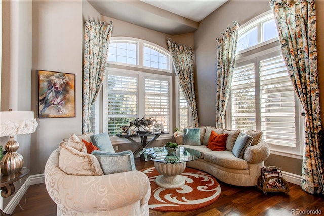 living room with hardwood / wood-style flooring