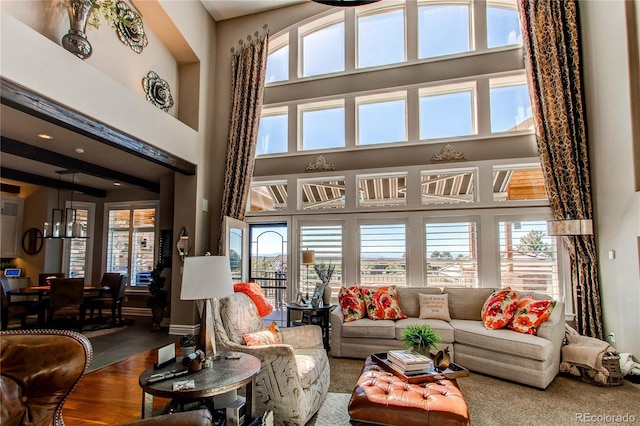 living room with a healthy amount of sunlight and a high ceiling