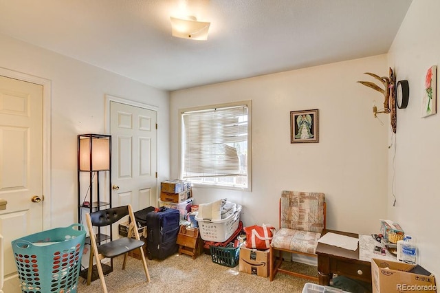 living area with carpet