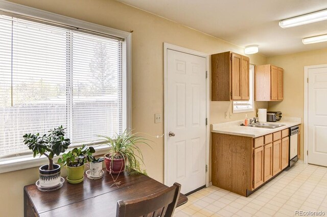 kitchen featuring sink and stainless steel dishwasher