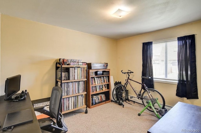 office space with carpet floors