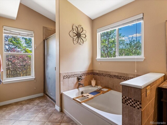 885 Sage Sparrow Cir, Highlands Ranch, CO 80129 - photo 19
