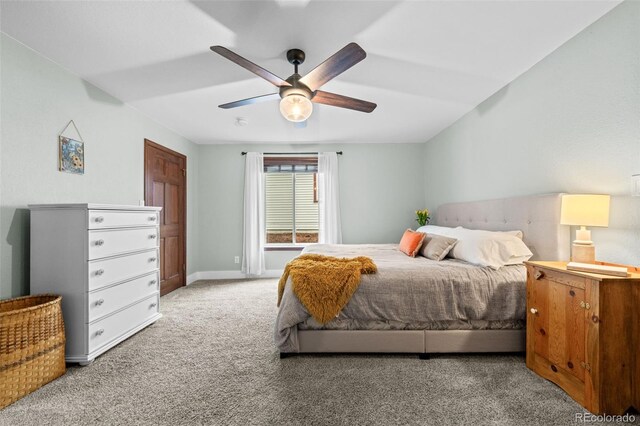 6402 W 81st Ave, Arvada, CO 80003 - photo 3