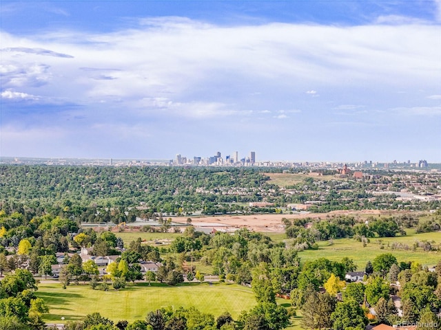 4720 W Stanford Ave, Denver, CO 80236 - bird's eye view of skyline and a tree filled landscape