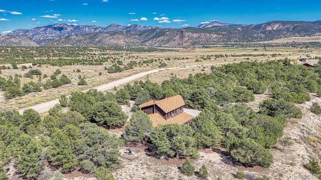 11620 County Road 251, Salida, CO 81201 - photo 4