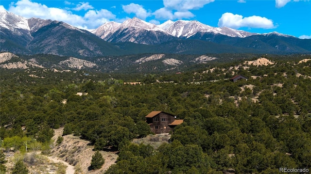 11620 County Road 251, Salida, CO 81201 - photo 41