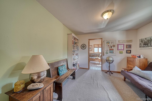 11620 County Road 251, Salida, CO 81201 - photo 16