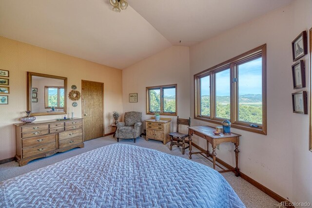 11620 County Road 251, Salida, CO 81201 - photo 28