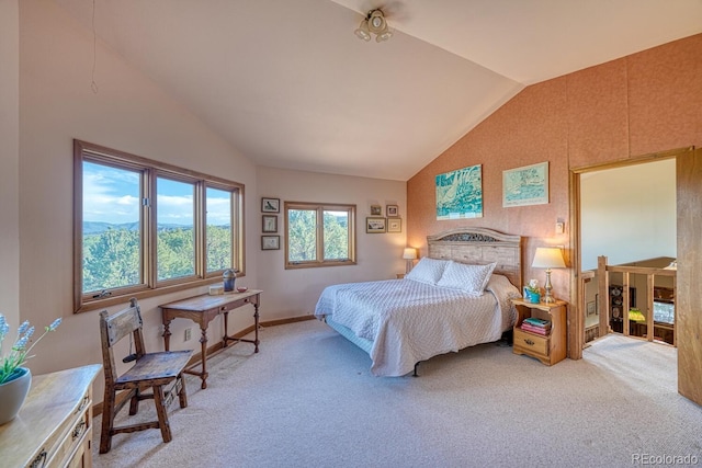 11620 County Road 251, Salida, CO 81201 - photo 27