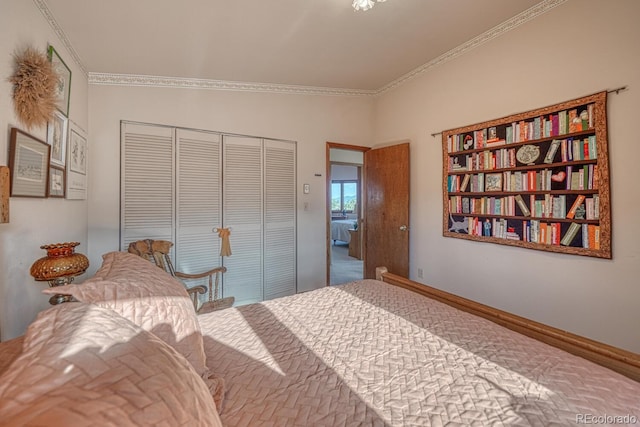 11620 County Road 251, Salida, CO 81201 - photo 31