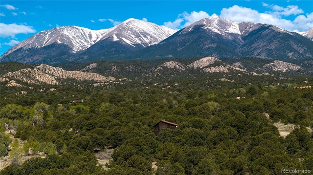 11620 County Road 251, Salida, CO 81201 - photo 3