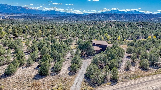 11620 County Road 251, Salida, CO 81201 - photo 2