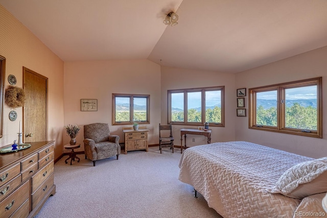 11620 County Road 251, Salida, CO 81201 - photo 26