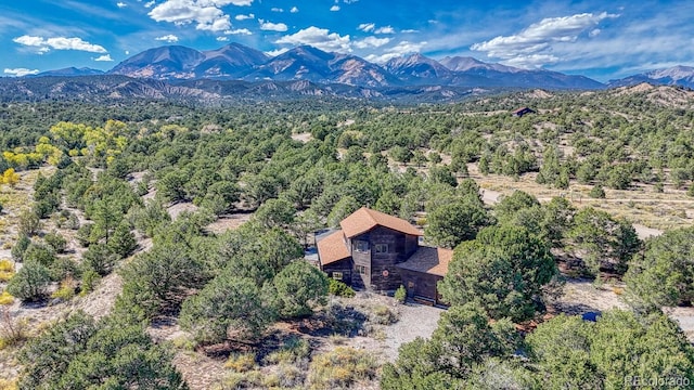 11620 County Road 251, Salida, CO 81201 - photo 33