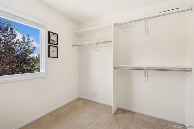 8269 Park Hill Ct, Fort Collins, CO 80528 - photo 21