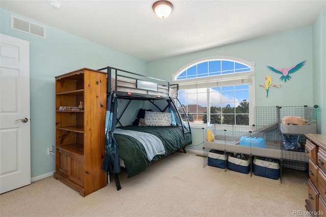 8269 Park Hill Ct, Fort Collins, CO 80528 - photo 23