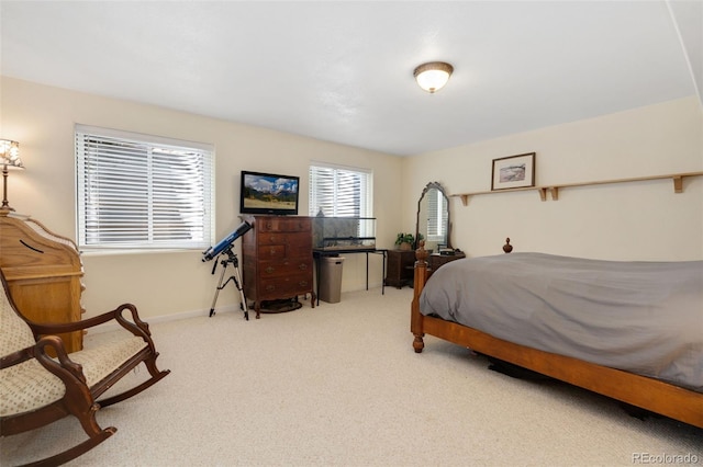 8269 Park Hill Ct, Fort Collins, CO 80528 - photo 27