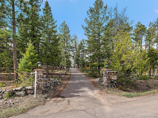 7754 Swaps Trl, Evergreen, CO 80439 - view of street with street lighting