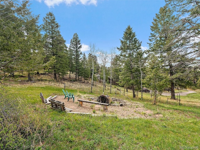 7754 Swaps Trl, Evergreen, CO 80439 - view of yard