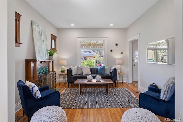 living room with wood-type flooring