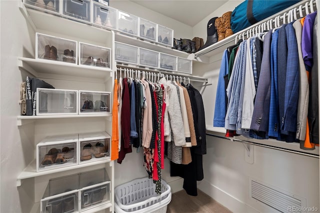 view of walk in closet