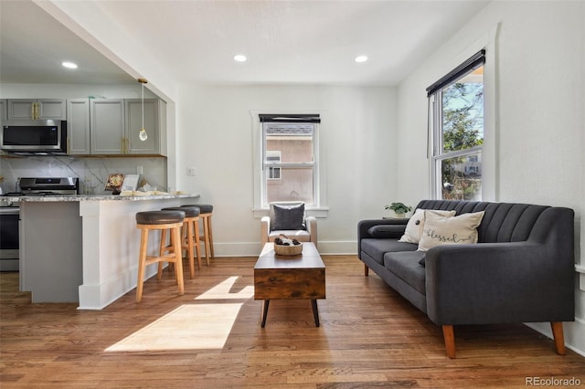 living room featuring hardwood / wood-style flooring