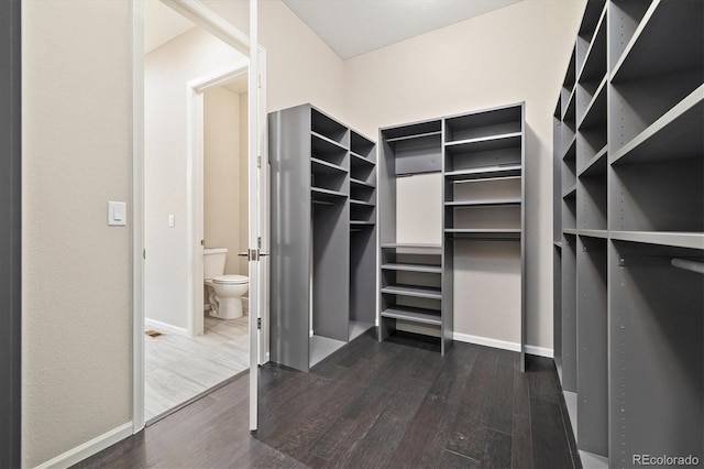 6725 Mentha Dr, Castle Rock, CO 80108 - spacious closet with dark wood finished floors