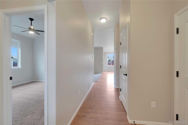 1867 Abundance Dr, Windsor, CO 80550 - hallway featuring baseboards and light wood-style floors