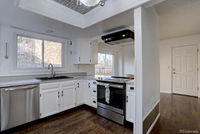 kitchen featuring a sink, dark wood-style floors, under cabinet range hood, and stainless steel appliances