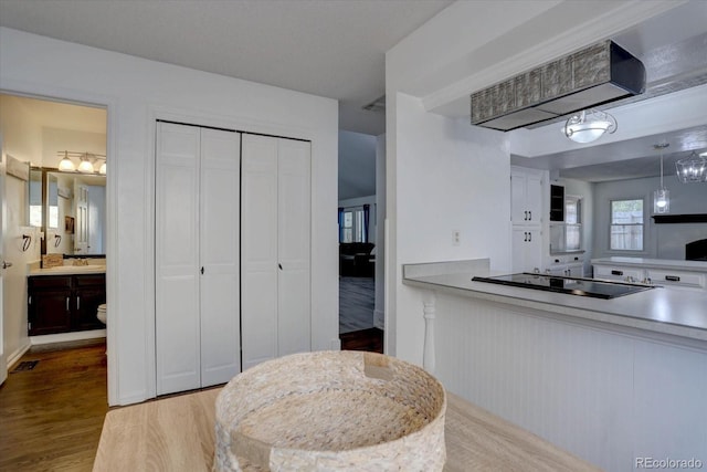 bathroom with vanity, visible vents, and wood finished floors