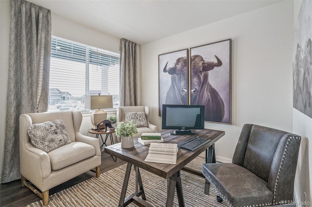 home office with hardwood / wood-style flooring