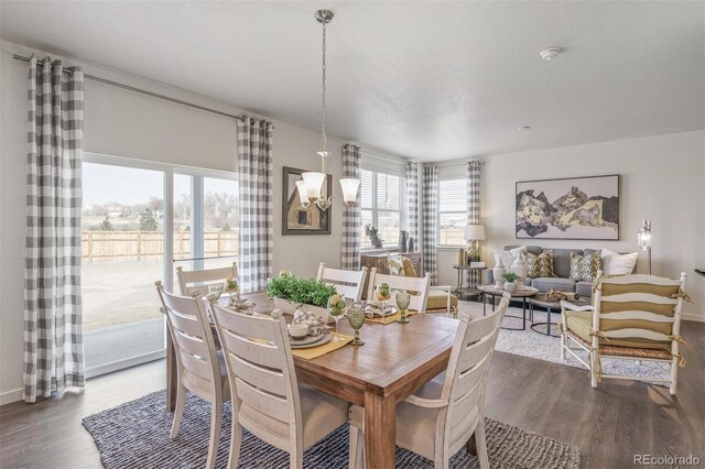 dining space featuring dark wood-type flooring