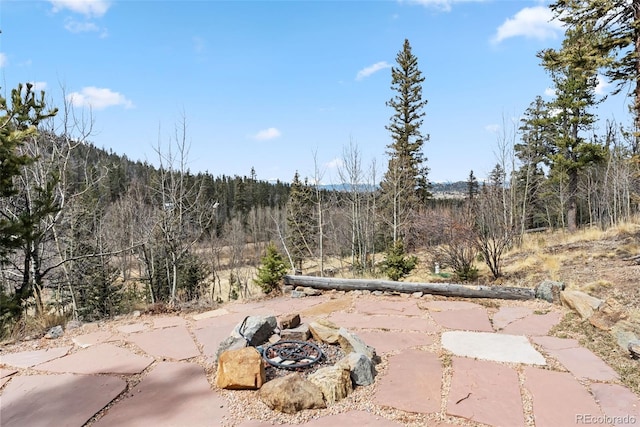 exterior space with a view of trees and a fire pit