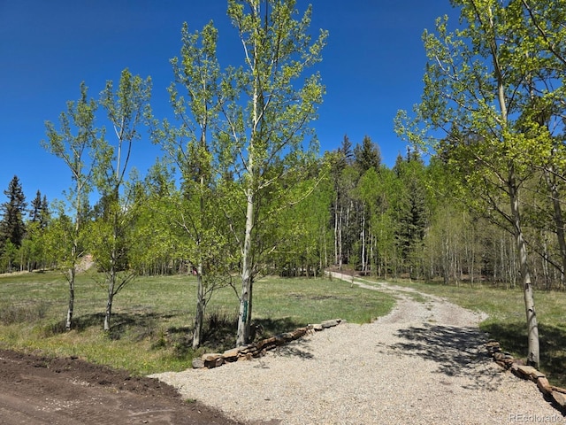 1435 E Longbow Dr, Jefferson, CO 80456 - view of street with a wooded view