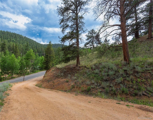 1555 Shelton Dr, Bailey, CO 80421 - photo 18