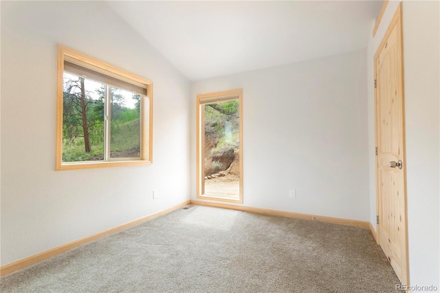 1555 Shelton Dr, Bailey, CO 80421 - photo 15