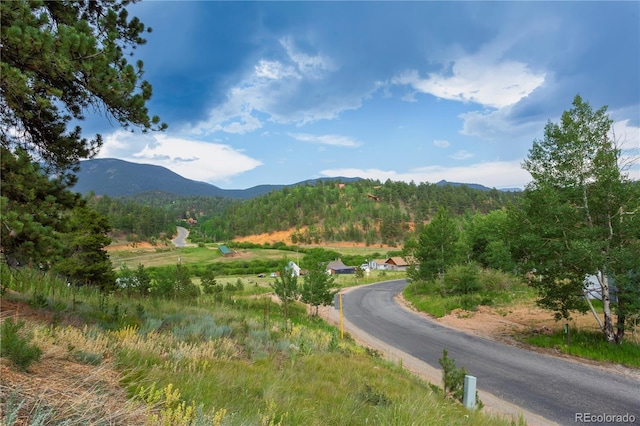 1555 Shelton Dr, Bailey, CO 80421 - photo 19