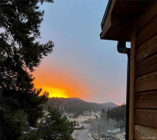 1555 Shelton Dr, Bailey, CO 80421 - photo 20