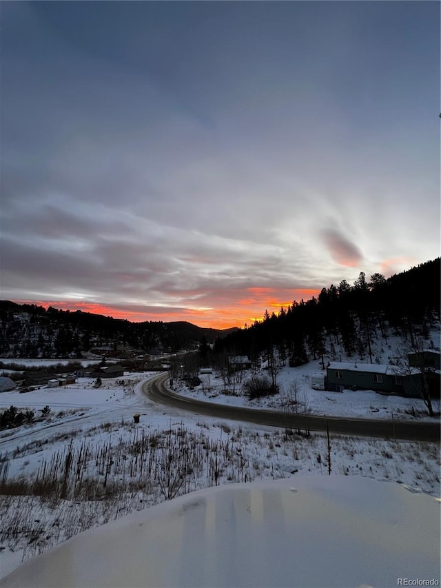 1555 Shelton Dr, Bailey, CO 80421 - photo 21