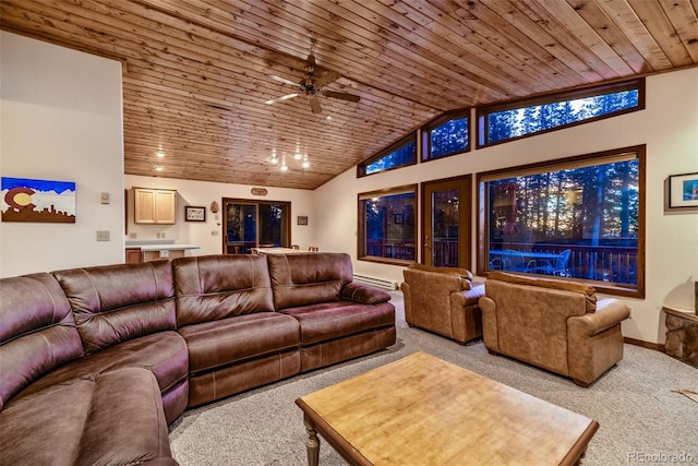 1292 Valley Of The Sun Dr, Fairplay, CO 80440 - photo 13