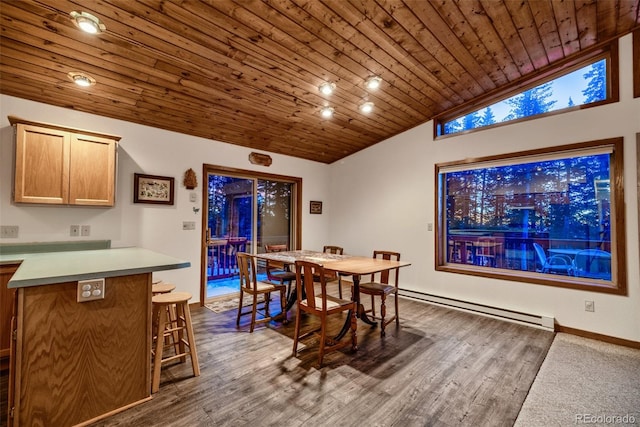 1292 Valley Of The Sun Dr, Fairplay, CO 80440 - photo 20