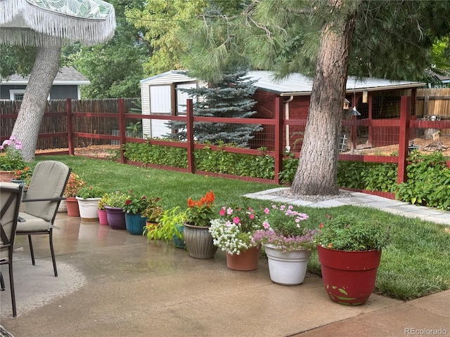 view of yard with a shed and a patio