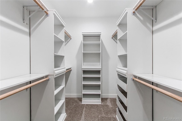 895 Antelope Dr W, Bennett, CO 80102 - walk in closet featuring dark colored carpet
