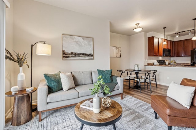 living room featuring light wood-style floors, rail lighting, and baseboards