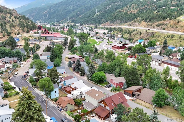 2007 Virginia St, Idaho Springs, CO 80452 - photo 33