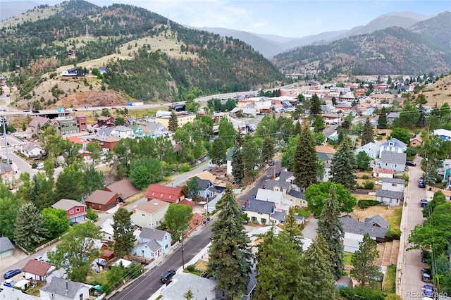 2007 Virginia St, Idaho Springs, CO 80452 - photo 34