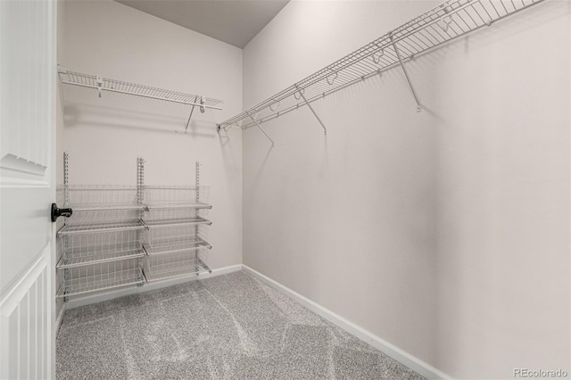 walk in closet with carpet