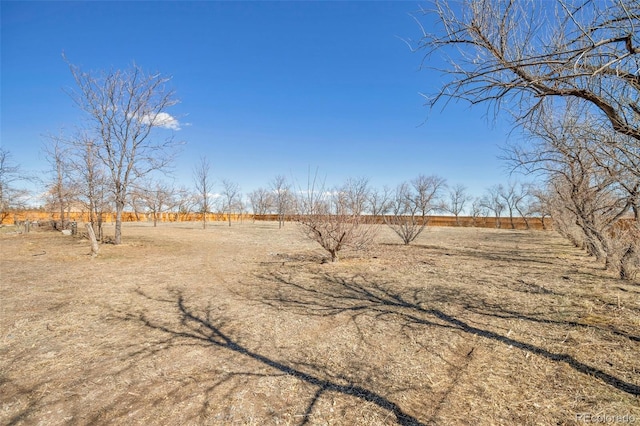 view of yard with a rural view