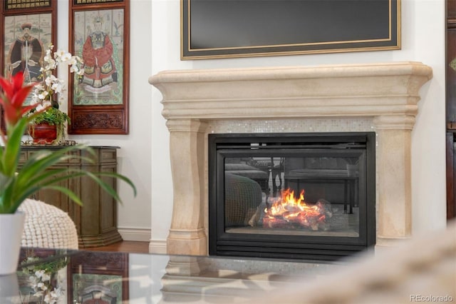 344 Saint Paul St, Denver, CO 80206 - detailed view of a glass covered fireplace, baseboards, and wood finished floors